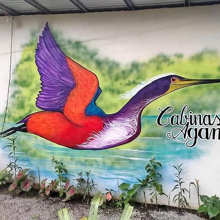 Cabinas Agamy Tortuguero Exterior photo